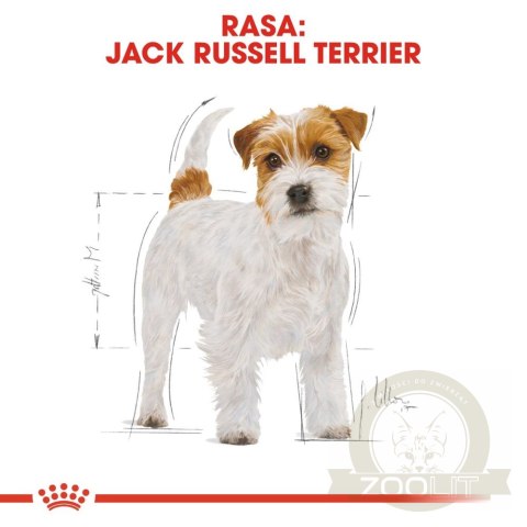 ROYAL CANIN Jack Russell Terrier Adult 1,5kg ROYAL CANIN Jack Russell Terrier Adult 1,5kg