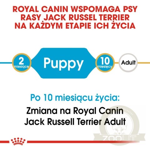 ROYAL CANIN Jack Russell Terrier Puppy 3kg ROYAL CANIN Jack Russell Terrier Puppy 3kg
