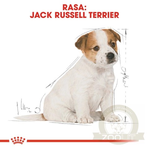 ROYAL CANIN Jack Russell Terrier Puppy 3kg ROYAL CANIN Jack Russell Terrier Puppy 3kg