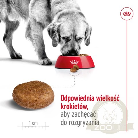ROYAL CANIN Maxi Adult 5+ 15kg ROYAL CANIN Maxi Adult 5+ 15kg