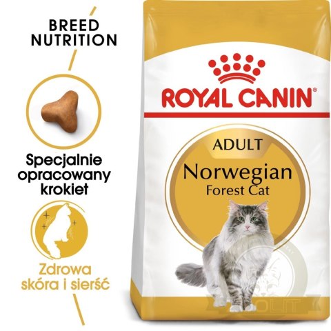 ROYAL CANIN Norwegian Forest Cat Adult 2kg ROYAL CANIN Norwegian Forest Cat Adult 2kg