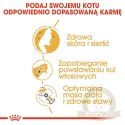 ROYAL CANIN Norwegian Forest Cat Adult 2kg