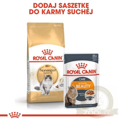 ROYAL CANIN Norwegian Forest Cat Adult 2kg ROYAL CANIN Norwegian Forest Cat Adult 2kg