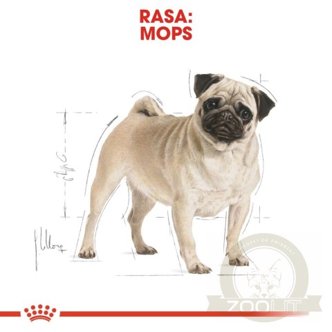 ROYAL CANIN Pug Adult 1,5kg ROYAL CANIN Pug Adult 1,5kg