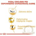 ROYAL CANIN Pug Adult 1,5kg