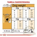 ROYAL CANIN Pug Adult 1,5kg