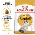 ROYAL CANIN Ragdoll Adult 2kg