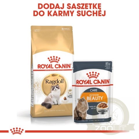 ROYAL CANIN Ragdoll Adult 2kg ROYAL CANIN Ragdoll Adult 2kg