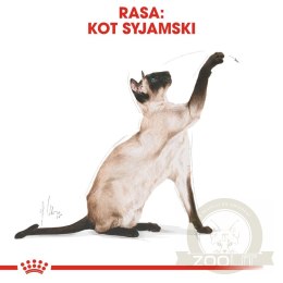 ROYAL CANIN Siamese Adult 2kg