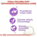 ROYAL CANIN Sterilised 37 4kg
