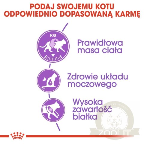 ROYAL CANIN Sterilised 37 4kg ROYAL CANIN Sterilised 37 4kg