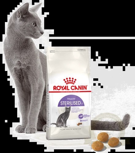 ROYAL CANIN Sterilised 37 4kg ROYAL CANIN Sterilised 37 4kg
