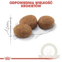 ROYAL CANIN Sterilised 37 4kg