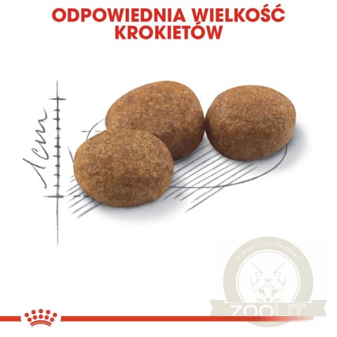 ROYAL CANIN Sterilised 37 4kg ROYAL CANIN Sterilised 37 4kg
