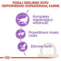 ROYAL CANIN Sterilised +7 10kg