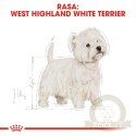 ROYAL CANIN West Highland White Terrier Adult 3kg