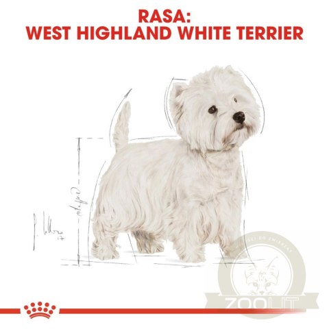 ROYAL CANIN West Highland White Terrier Adult 3kg ROYAL CANIN West Highland White Terrier Adult 3kg