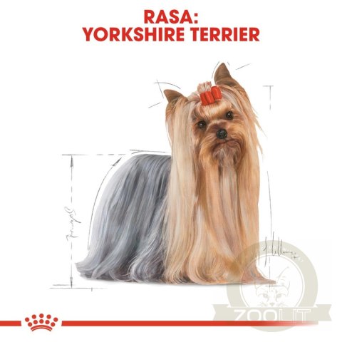 ROYAL CANIN Yorkshire Terrier Adult 7,5kg ROYAL CANIN Yorkshire Terrier Adult 7,5kg