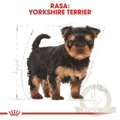 ROYAL CANIN Yorkshire Terrier Puppy 7,5kg ROYAL CANIN Yorkshire Terrier Puppy 7,5kg