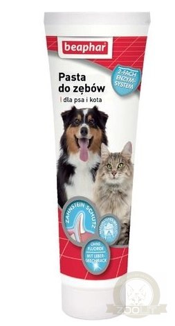 BEAPHAR Pasta Do Zębów Dla Psów I Kotów O Smaku Mięsa 100g BEAPHAR Pasta Do Zębów Dla Psów I Kotów O Smaku Mięsa 100g