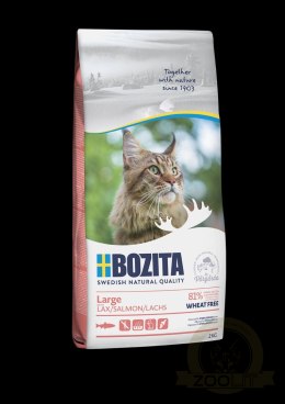 BOZITA Large Z Łososiem 2kg