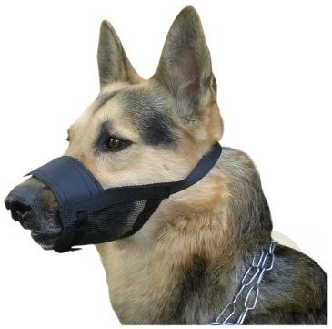 Dingo Kaganiec Weterynaryjny Nylonowy Dla Psa Rozmiar 4 22-30cm Dingo Kaganiec Weterynaryjny Nylonowy Dla Psa Rozmiar 4 22-30cm