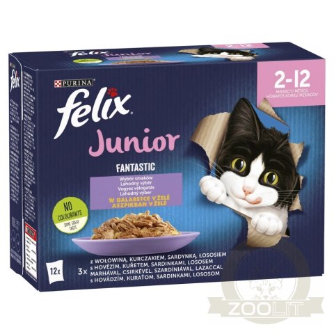 Felix Fantastic Junior W Galaretce 12x85g Felix Fantastic Junior W Galaretce 12x85g