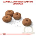 ROYAL CANIN CCN Maxi Sterilised 12kg