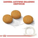 ROYAL CANIN CCN Medium Dermacomfort 12kg