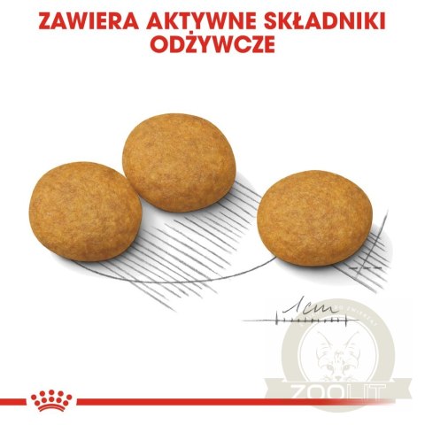 ROYAL CANIN CCN Medium Dermacomfort 12kg ROYAL CANIN CCN Medium Dermacomfort 12kg