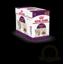ROYAL CANIN Sensory Taste Kawałki W Sosie 12x85g