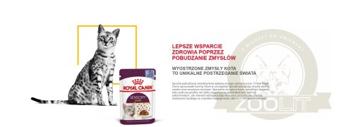 ROYAL CANIN Sensory Taste Kawałki W Sosie 12x85g ROYAL CANIN Sensory Taste Kawałki W Sosie 12x85g