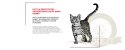 ROYAL CANIN Sensory Taste Kawałki W Sosie 12x85g