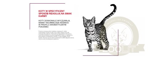 ROYAL CANIN Sensory Taste Kawałki W Sosie 12x85g ROYAL CANIN Sensory Taste Kawałki W Sosie 12x85g