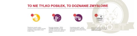 ROYAL CANIN Sensory Taste Kawałki W Sosie 12x85g ROYAL CANIN Sensory Taste Kawałki W Sosie 12x85g