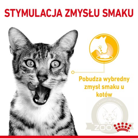 ROYAL CANIN Sensory Taste Kawałki W Sosie 12x85g ROYAL CANIN Sensory Taste Kawałki W Sosie 12x85g
