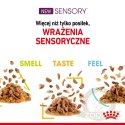 ROYAL CANIN Sensory Taste Kawałki W Sosie 12x85g