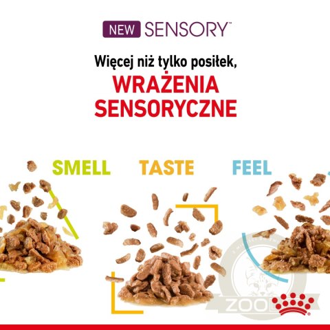 ROYAL CANIN Sensory Taste Kawałki W Sosie 12x85g ROYAL CANIN Sensory Taste Kawałki W Sosie 12x85g