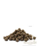 Versele-Laga Opti Life Prime Adult Salmon Karma Bezzbożowa Dla Dorosłych Psów Z Łososiem 12,5kg