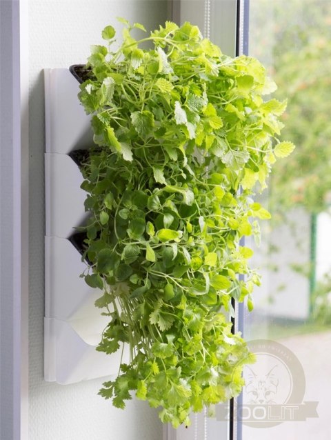 AQUAEL Versa Garden Herbs AQUAEL Versa Garden Herbs