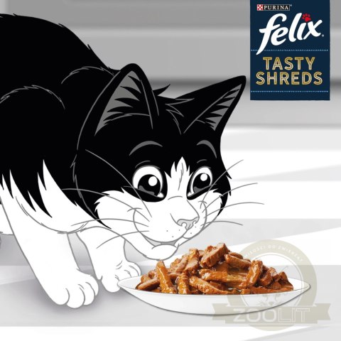 Felix Tasty Shreds Karma Dla Kota Z Łososiem I Tuńczykiem W Sosie 4x80g Felix Tasty Shreds Karma Dla Kota Z Łososiem I Tuńczykiem W Sosie 4x80g