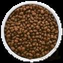 Hill's PD Prescription Diet Canine z/d Food Sensitivities Mini 1kg