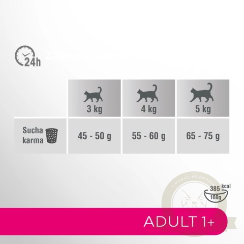 Perfect Fit™ - sucha karma pełnoporcjowa dla dorosłych kotów, bogata w wołowinę 7kg Perfect Fit™ - sucha karma pełnoporcjowa dla dorosłych kotów, bogata w wołowinę 7kg