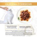 Purina Gourmet Gold Sauce Delight z wołowiną 85g