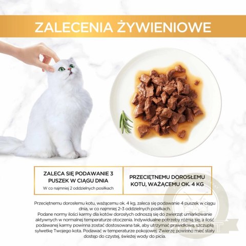 Purina Gourmet Gold Sauce Delight z wołowiną 85g Purina Gourmet Gold Sauce Delight z wołowiną 85g