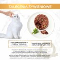 Purina Gourmet Gold Savoury Cake z jagnięciną i zieloną fasolką 85g