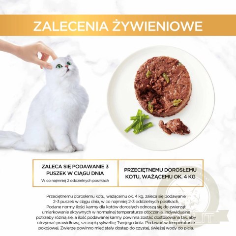 Purina Gourmet Gold Savoury Cake z jagnięciną i zieloną fasolką 85g Purina Gourmet Gold Savoury Cake z jagnięciną i zieloną fasolką 85g