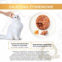 Purina Gourmet Gold Savoury Cake z kurczakiem i marchewką 85g