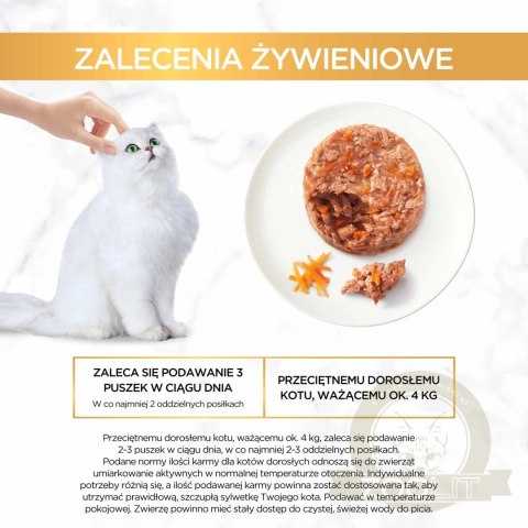 Purina Gourmet Gold Savoury Cake z kurczakiem i marchewką 85g Purina Gourmet Gold Savoury Cake z kurczakiem i marchewką 85g