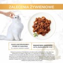 Purina Gourmet Gold kaczka/indyk w sosie 85g